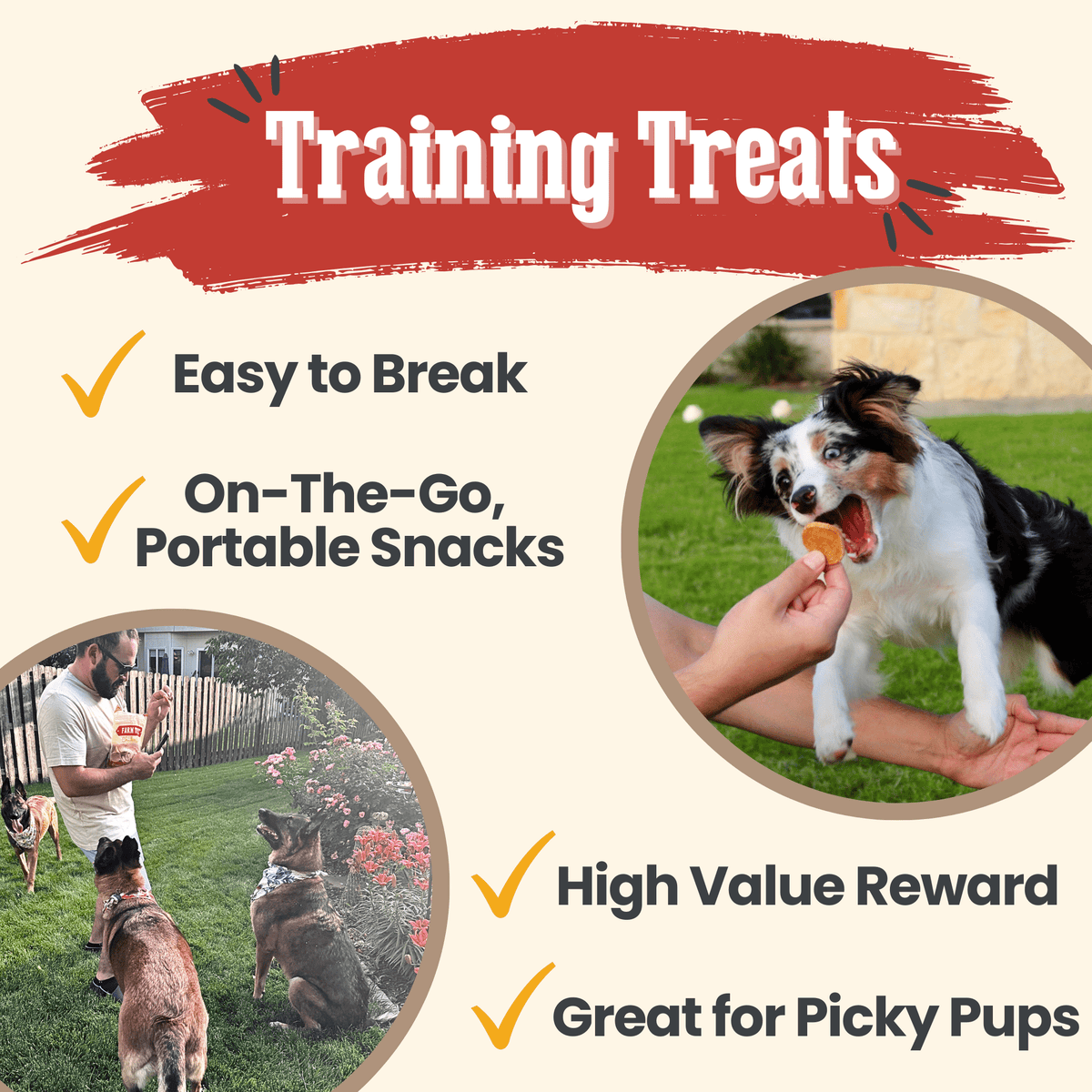 Chicken Chips — Single-Ingredient Dog Treats