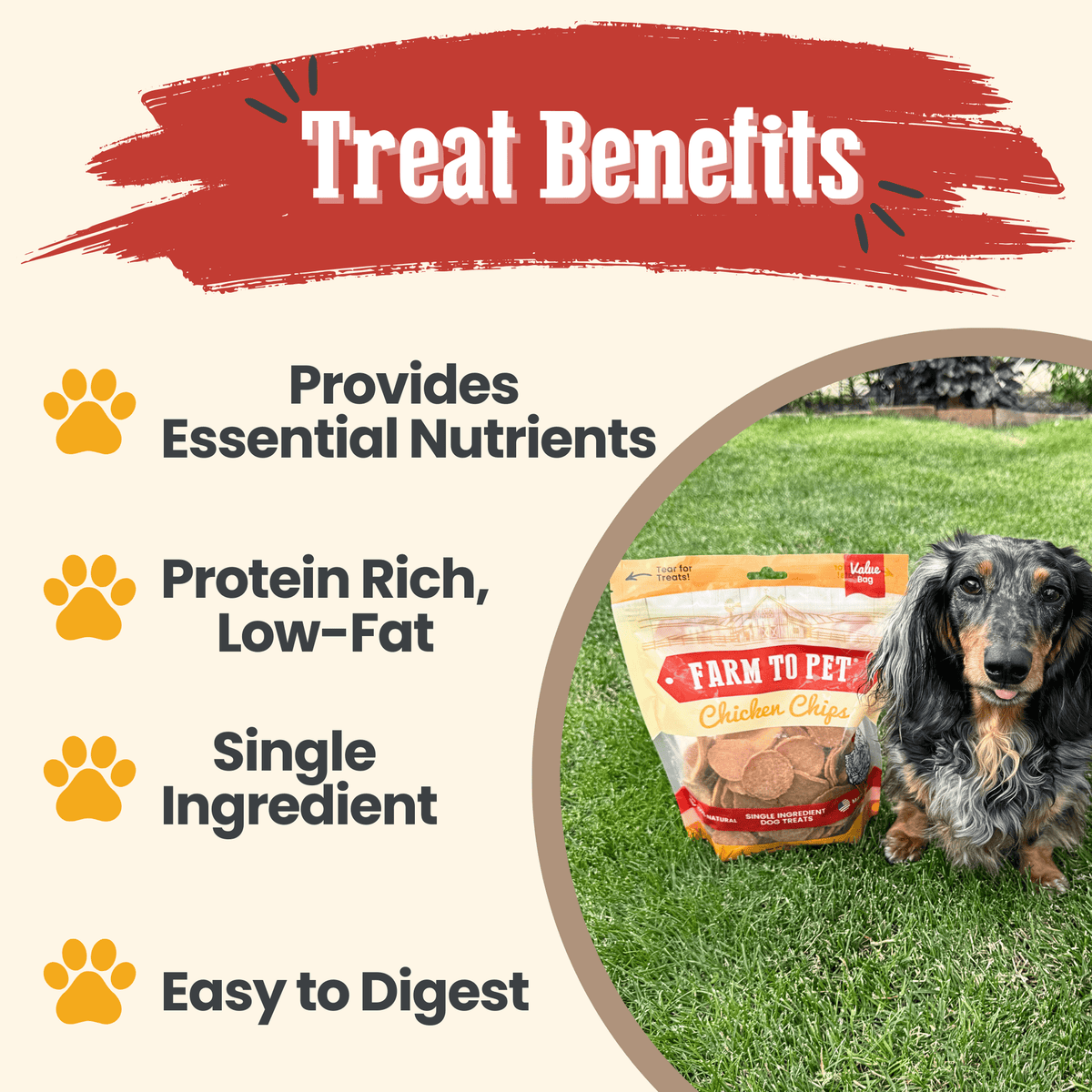 Chicken Chips — Single-Ingredient Dog Treats