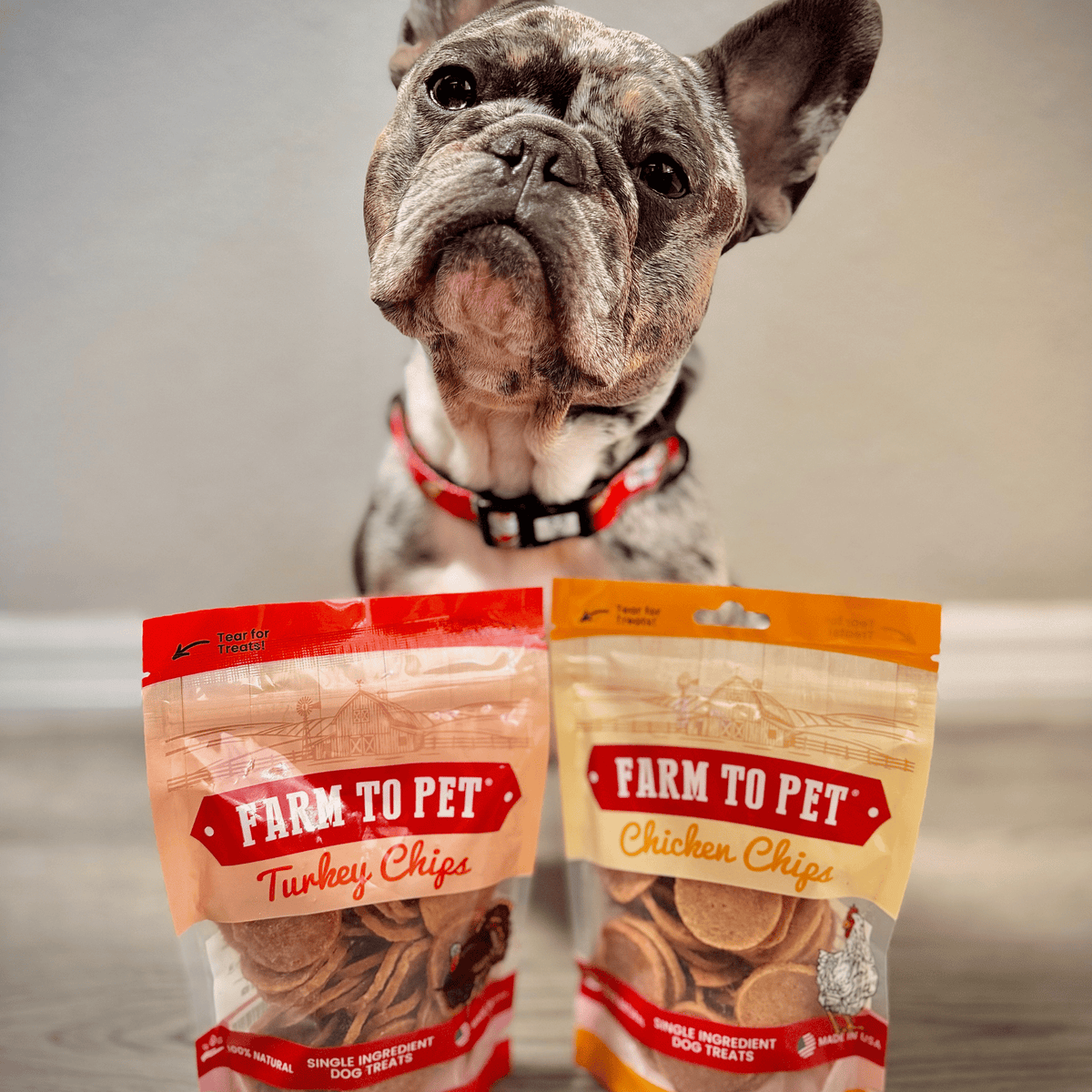 Turkey & Chicken Chip Dog Treat Duo | Single-Ingredient Poultry Treats for Dogs