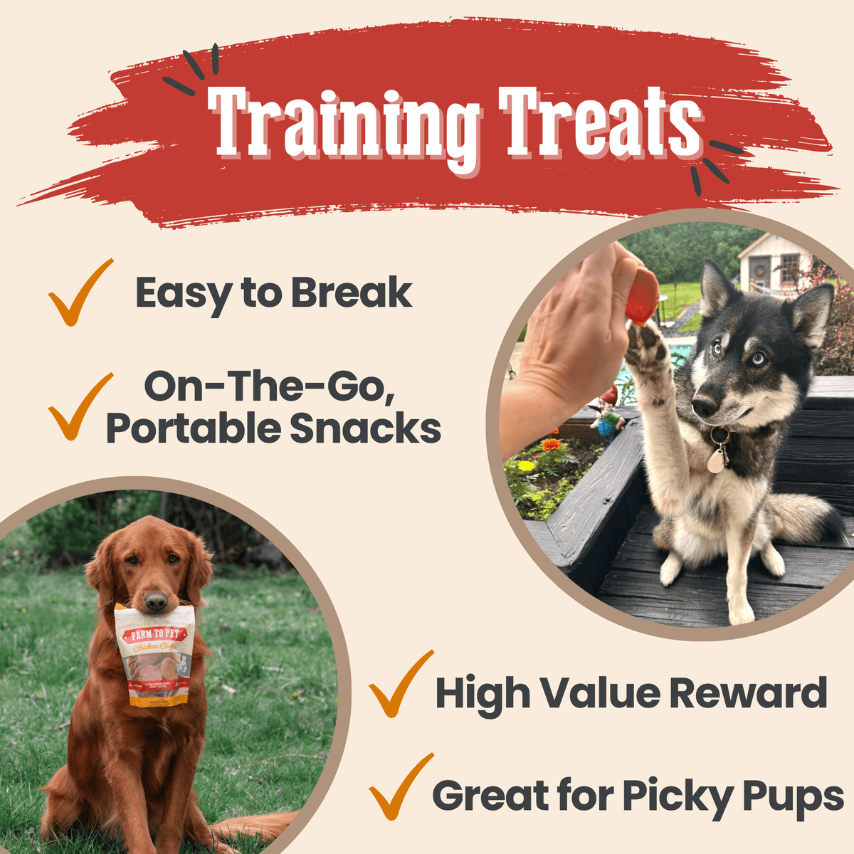 Turkey & Chicken Chip Dog Treat Duo | Single-Ingredient Poultry Treats for Dogs