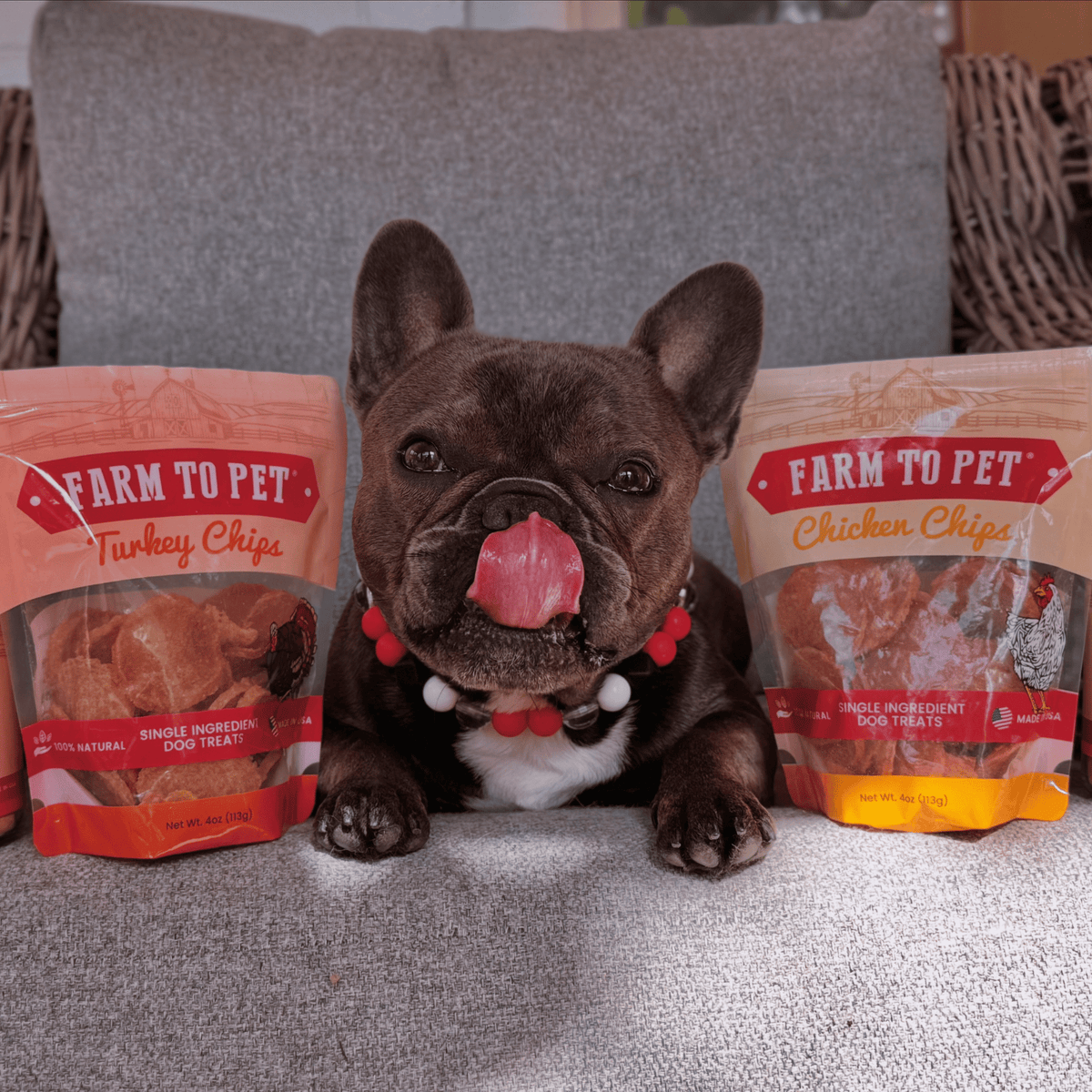 Turkey & Chicken Chip Dog Treat Duo | Single-Ingredient Poultry Treats for Dogs