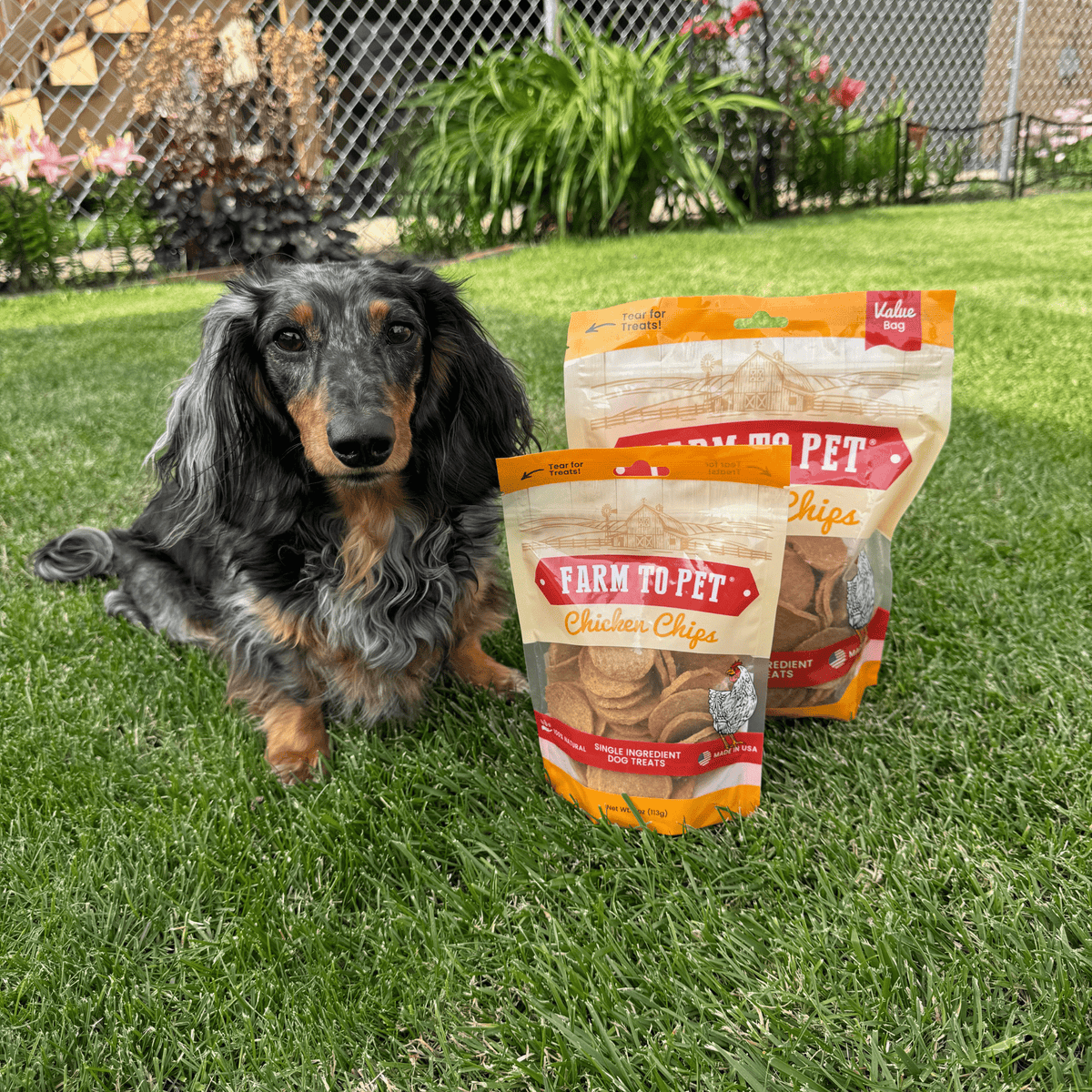Chicken Chips — Single-Ingredient Dog Treats