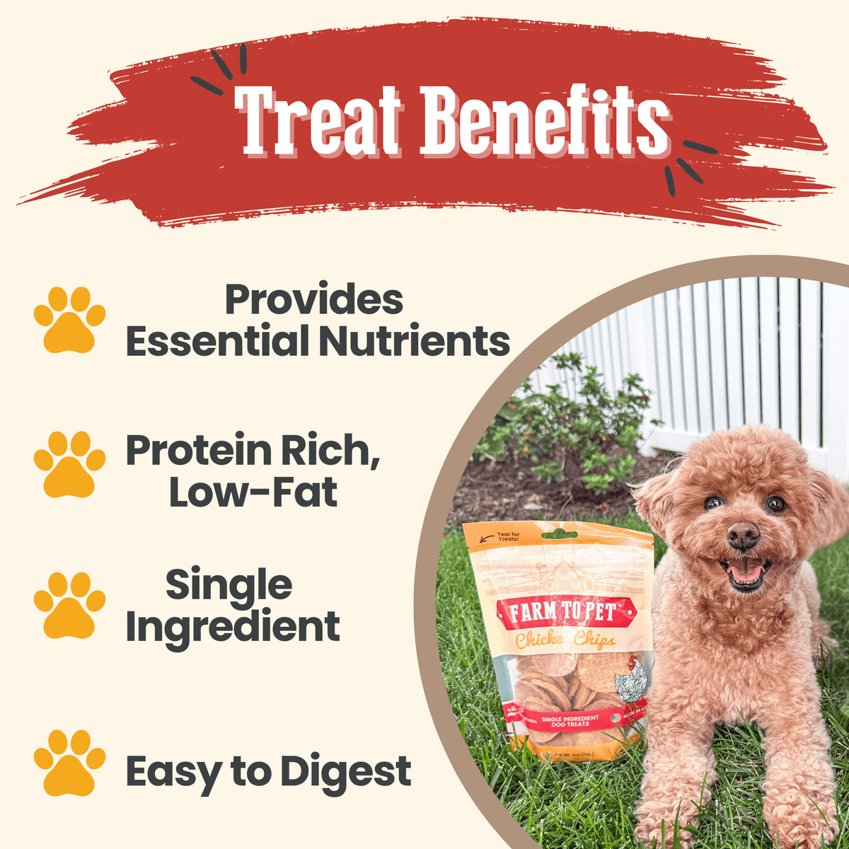 Chicken Chips — Single-Ingredient Dog Treats